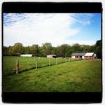 The farm on a nice spring day. 